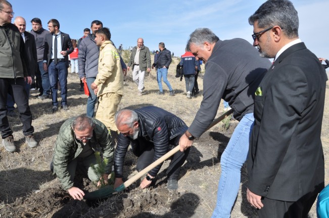 Vali Polat, gazetecilerle fidan dikti