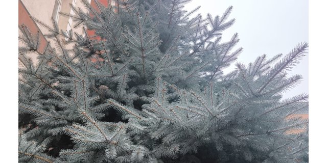 Kar Esareti: Şehir Beyaza Büründü, Hayat Durma Noktasında!