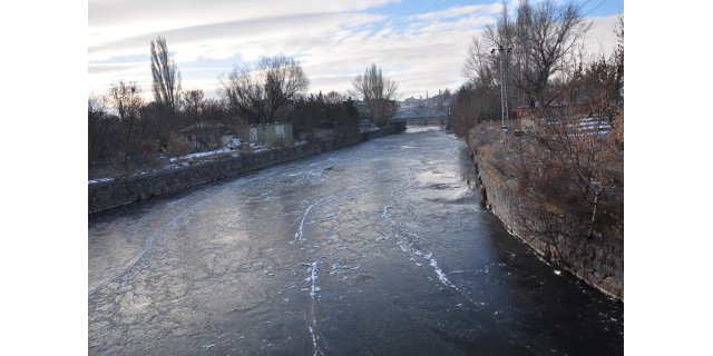 Doğada Kış Savaşı: Yaban Kuşları Buzla, Vatandaşlar Donla Mücadele Ediyor