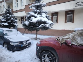 Sibirya Soğuğu Kentte: 30 Derece! Araçlar Buz, Hayat Durdu