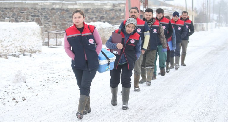 Kars'ta Kış Demeden Hayvan Sağlığı Seferberliği: Aşılar Devam Ediyor