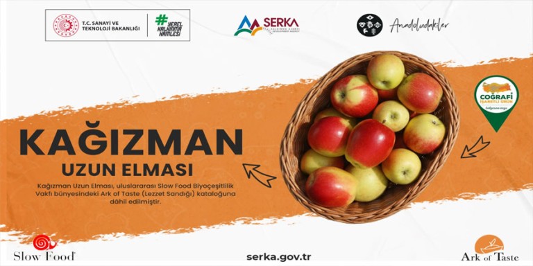 Kağızman Uzun Elması "Ark of Taste" ile Dünya Mirası Listesinde!
