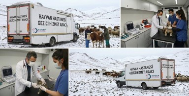 Kars’ta gezici hayvan sağlığı hizmetleri projesi hayata geçiriliyor
