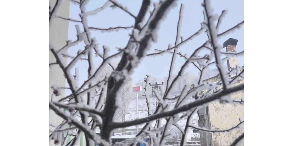 Kars'ta soğuk hava ağaçlar ve bitkilerde kırağı oluşturdu