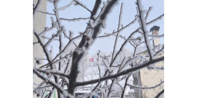 Kars'ta soğuk hava ağaçlar ve bitkilerde kırağı oluşturdu