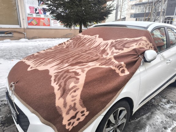 Kars Buz Kesti: Sibirya Soğukları Araçları Dondurdu, Hava Durumu Alarmda