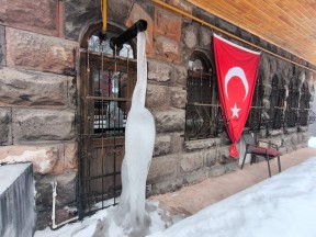 Kars'ta kar yağışı yerini soğuk havaya bıraktı: Ağaçlar ve bitkilerde kırağı oluştu