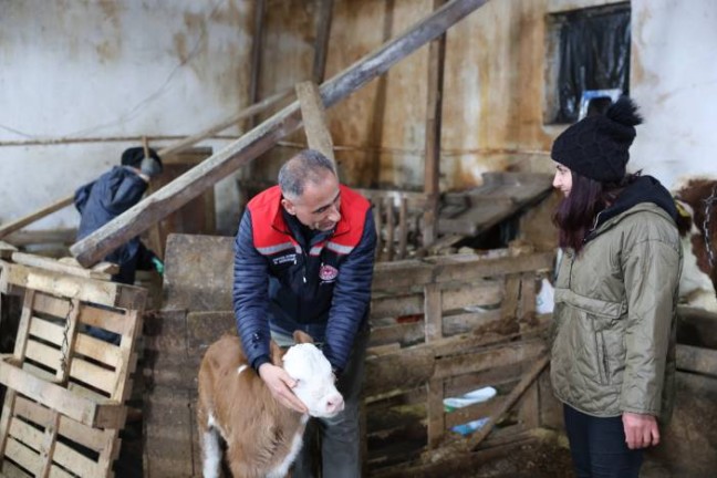 Kars'ta Hayvancılık Canlanıyor: Aydın'dan Sürpriz İşletme Ziyareti