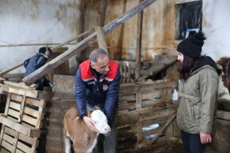 Kars'ta Hayvancılık Canlanıyor: Aydın'dan Sürpriz İşletme Ziyareti