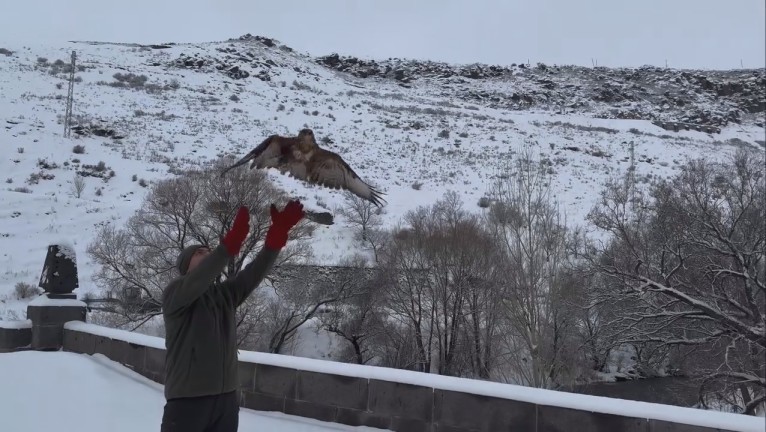 Kars'tan Gökyüzüne Umut: Tedavi Edilen Şahinler Özgürlüğe Uçtu
