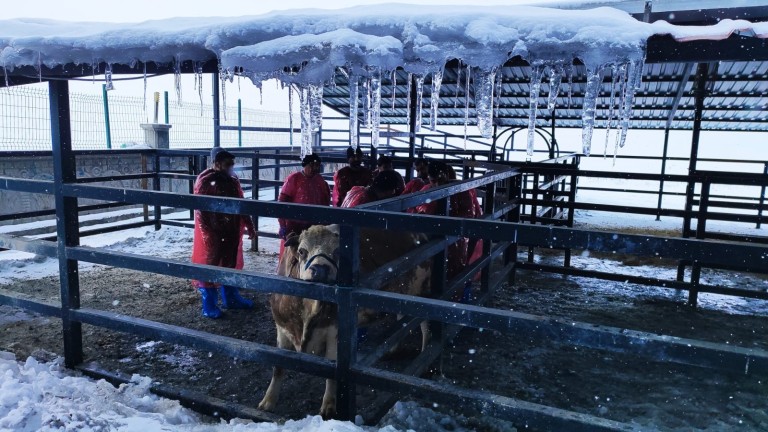Türkiye’nin Hekimleri Kars’ta Buluştu