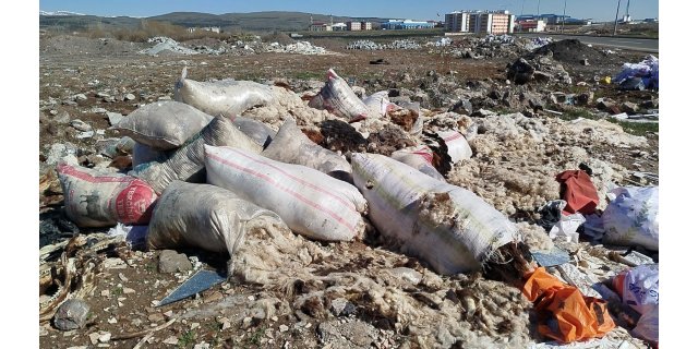 Kars’ın giriş noktalarında çöp tepkisi