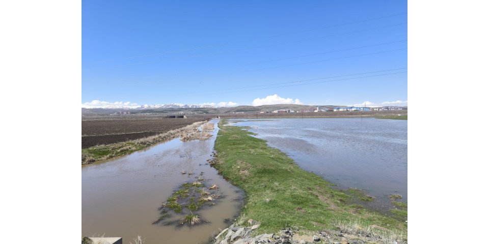 Kars Çayı yükseldi, tarım arazileri sular altında kaldı