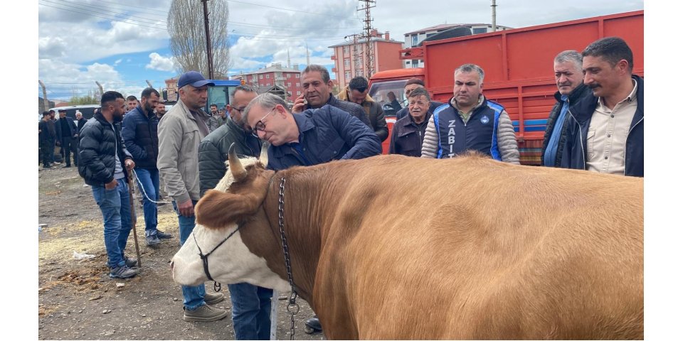 Vali Polat kurban pazarlığında devreye girdi: “Bu satış olacak”