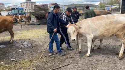 Kurban Bayramına 1 gün Kala Yaşanan Pazar Yoğunluğu
