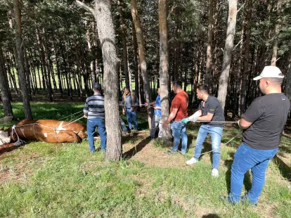 Kurban Kesiminde Kurallara uyulmazsa Ceza kesilecek