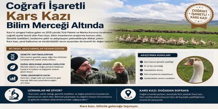 Coğrafi işaretli Kars kazı bilim merceği altında