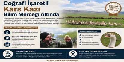 Coğrafi işaretli Kars kazı bilim merceği altında