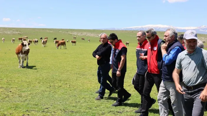 Kars Hayvancılığına Yakın Takip!