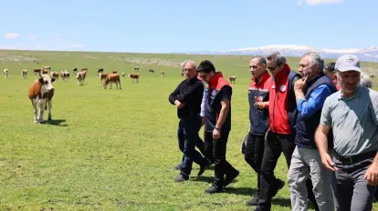 Kars Hayvancılığına Yakın Takip!