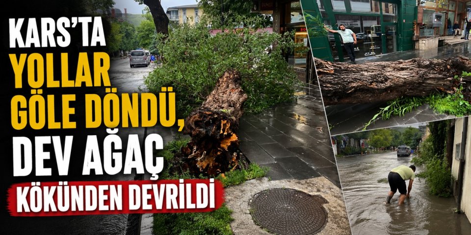 Kars'ta Yollar Göle Döndü, Dev Ağaç Kökünden Devrildi