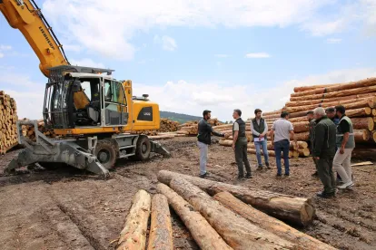 Sarıkamış Ormancılık Faaliyetleri Denetlendi: Bölge Müdürü Sahaya İndi