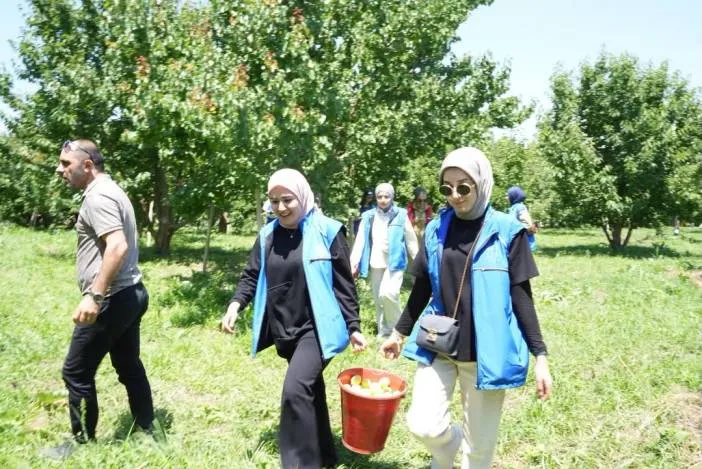 Kağızman’da Gönüllüler Kayısı Hasadına Destek Oldu
