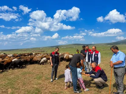 10 Bini Aşkın Hayvan Sağlık Kontrolünden Geçiriliyor