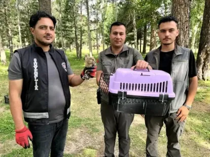 Yaralı Kerkenez Tedavi Ediliyor