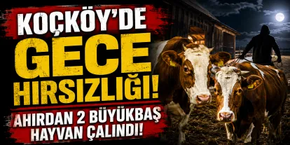 Kars’ın Arpaçay ilçesine bağlı Koçköy köyünde, gece hırsızlık olayı meydana geldi.