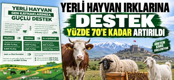 Yerli Hayvan Irklarına Destek Yüzde 70’e Kadar Artırıldı