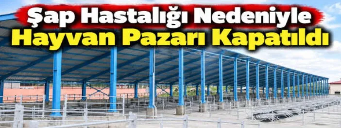 Şap Hastalığı Nedeniyle Hayvan Pazarı Kapatıldı