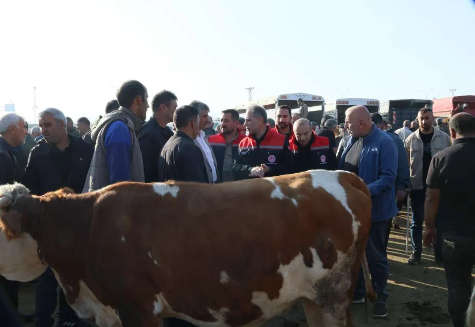 Pazarda Belgeler ve Sağlık Durumu Kontrol Ediliyor