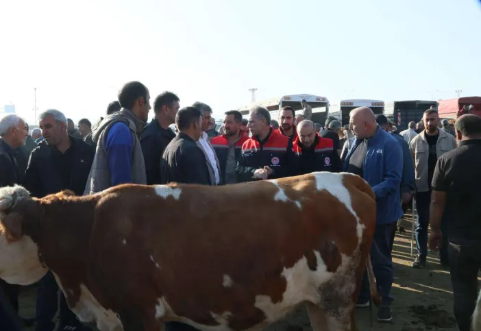 Pazarda Belgeler ve Sağlık Durumu Kontrol Ediliyor