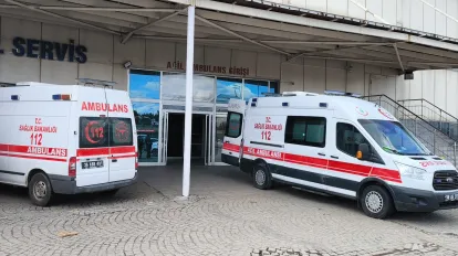 Yaylada Hayvan Otlatma Kavgası: 1 Ölü, 3 Yaralı