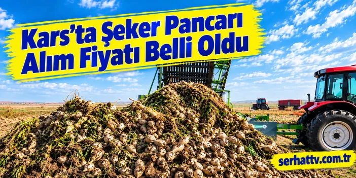 Kars’ta Şeker Pancarı Alım Fiyatı Belli Oldu