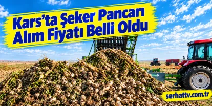 Kars’ta Şeker Pancarı Alım Fiyatı Belli Oldu