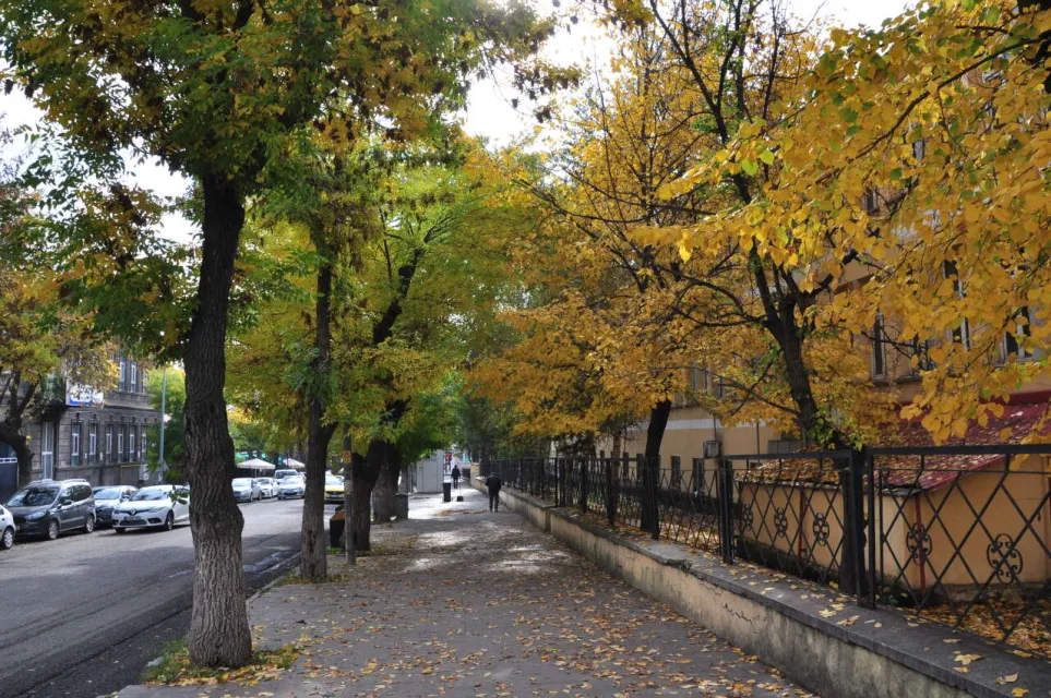 Doğu Anadolu’da Sağanak Yağış Bekleniyor