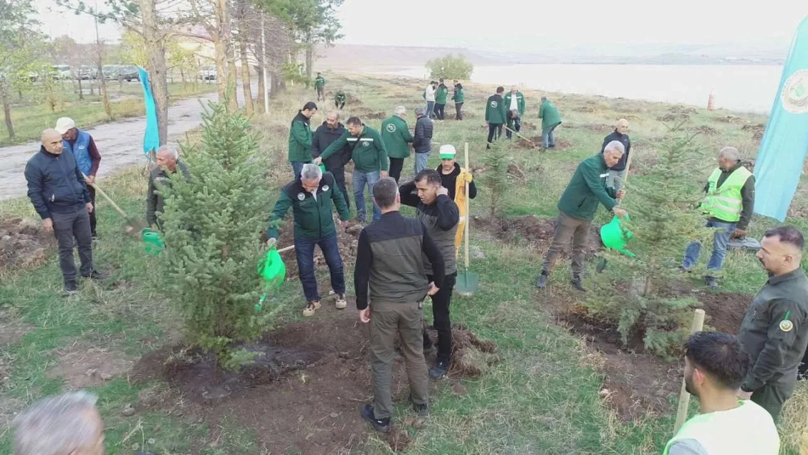 Kars'ta Baraj ve Gölet Çevreleri Yeşile Bürünecek! İki Kurumdan Önemli İş Birliği
