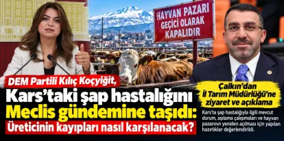 Kars’ta Şap Hastalığı Gündemi: Çalkın’dan Açıklama, Kılıç Koçyiğit’ten 13 Soruluk Önerge