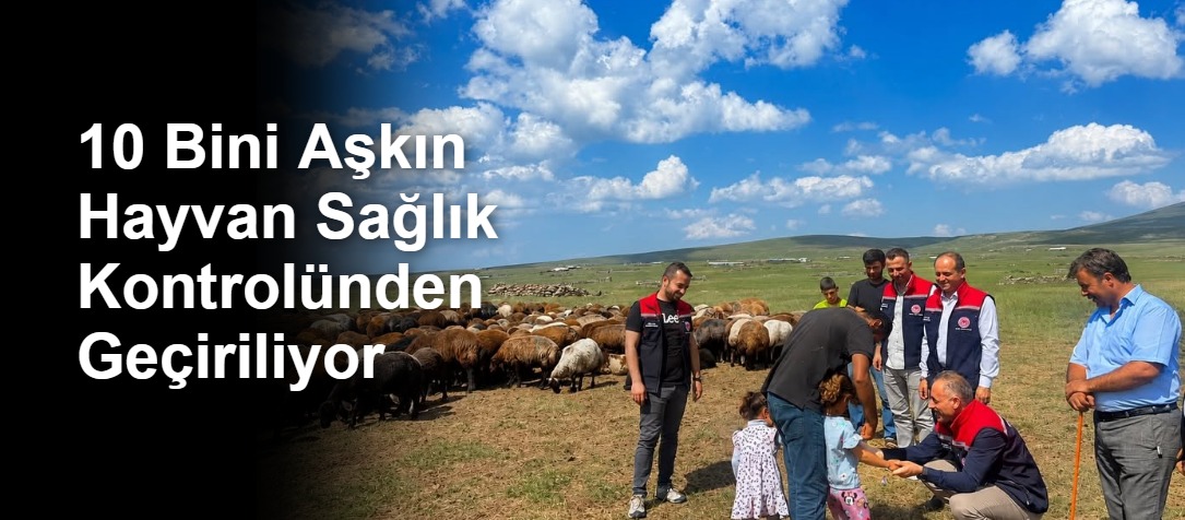 10 Bini Aşkın Hayvan Sağlık Kontrolünden Geçiriliyor