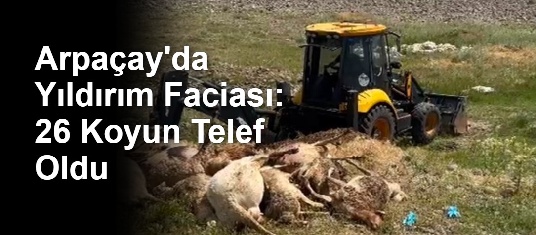 Arpaçay'da Yıldırım Faciası: 26 Koyun Telef Oldu