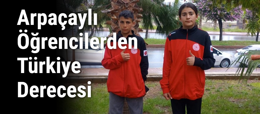 Arpaçaylı Öğrencilerden Türkiye Derecesi