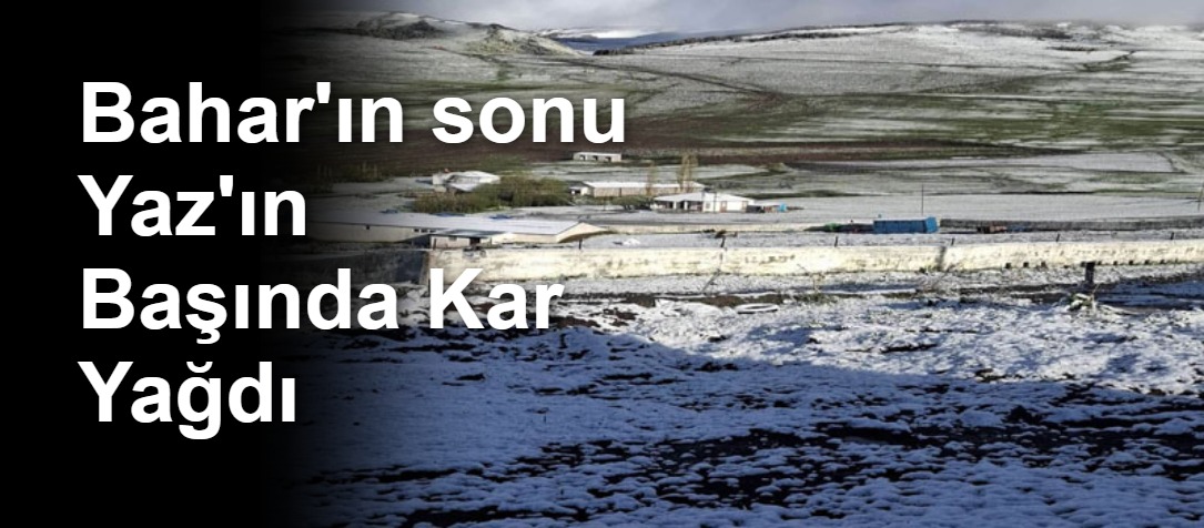 Bahar'ın sonu Yaz'ın Başında Kar Yağdı