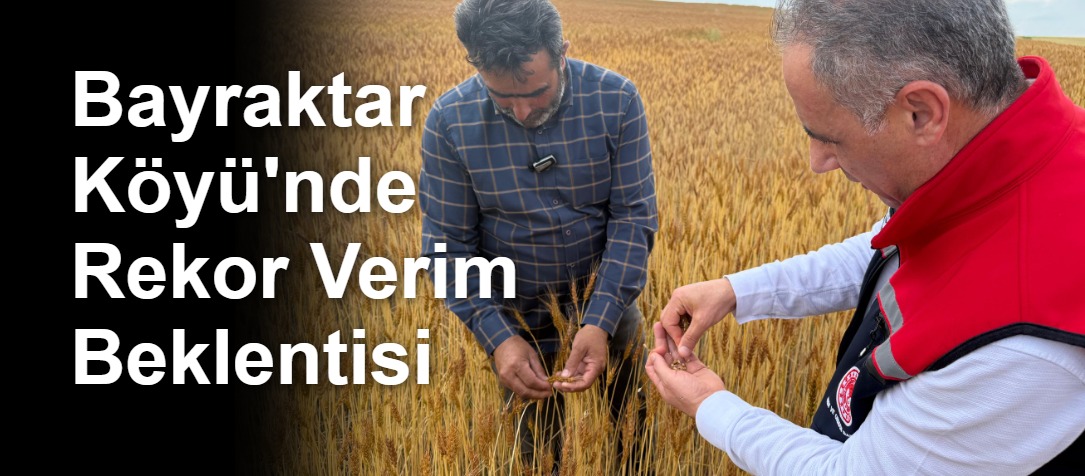 Bayraktar Köyü'nde Rekor Verim Beklentisi