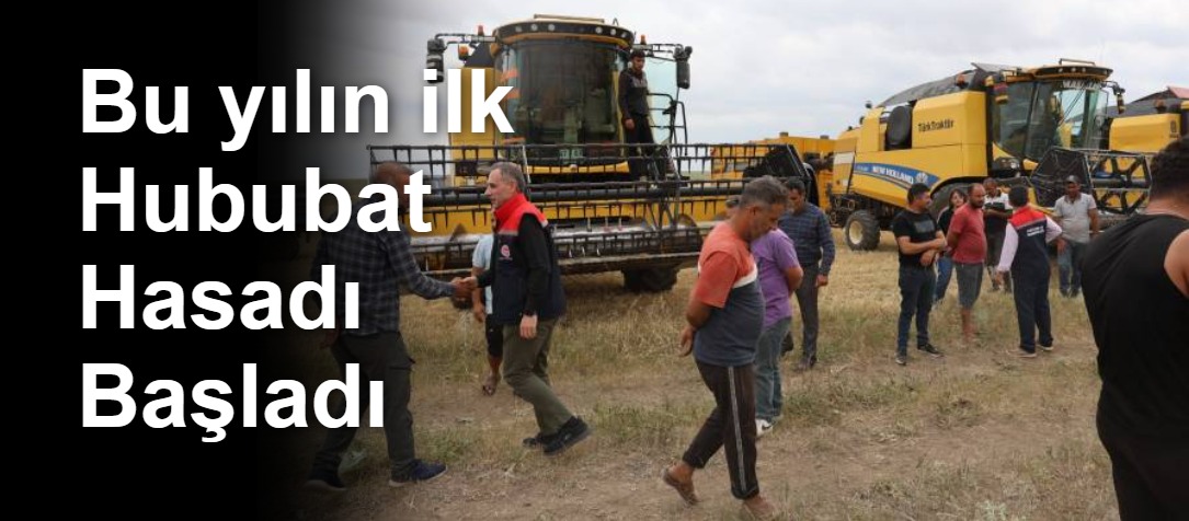Bu yılın ilk Hububat Hasadı Başladı