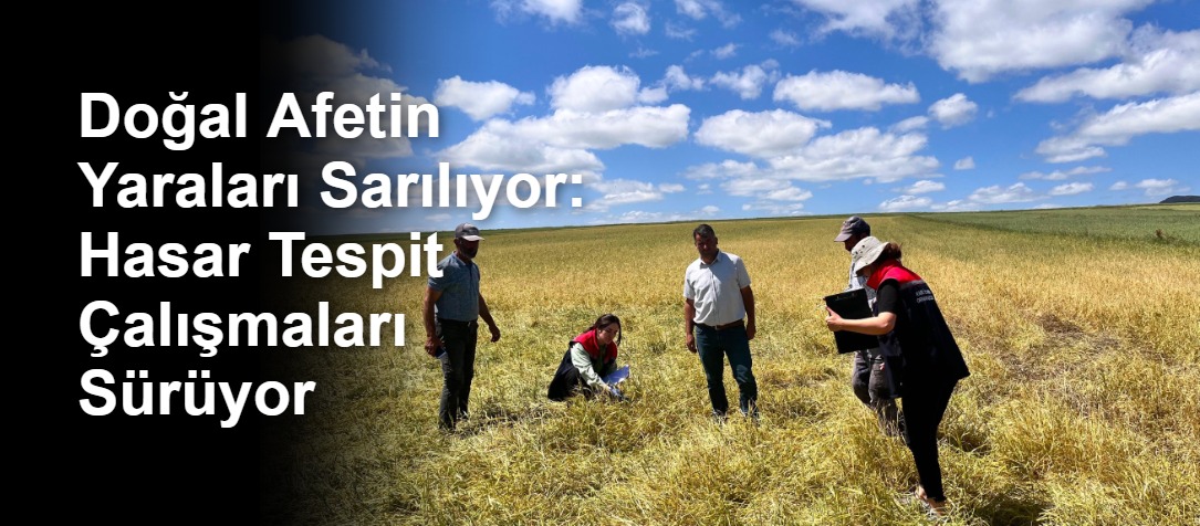 Doğal Afetin Yaraları Sarılıyor: Hasar Tespit Çalışmaları Sürüyor