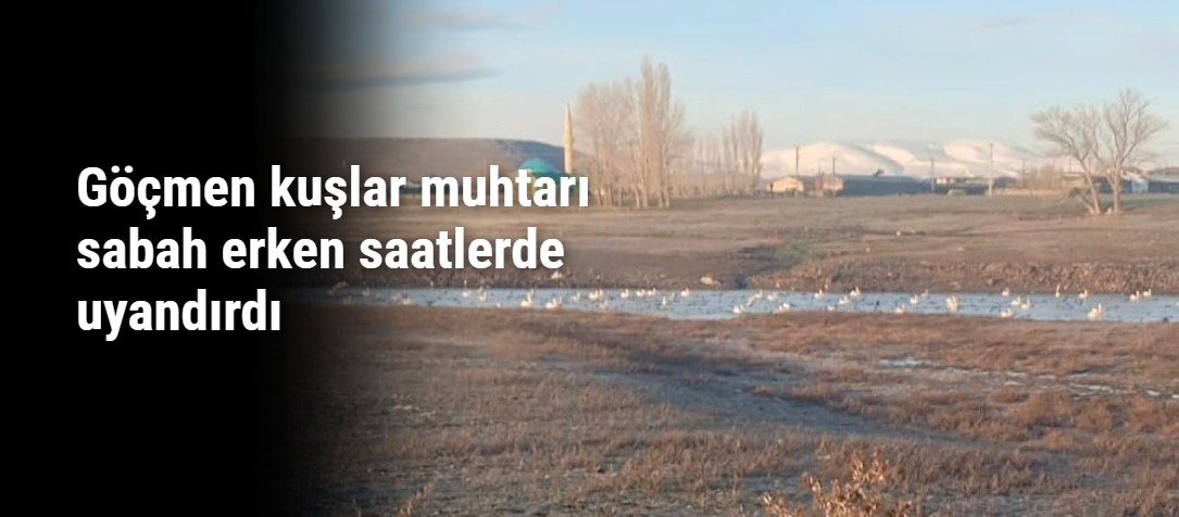 Göçmen kuşlar muhtarı sabah erken saatlerde uyandırdı