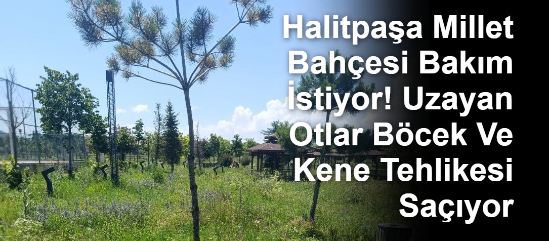 Halitpaşa Millet Bahçesi Bakım İstiyor! Uzayan Otlar Böcek Ve Kene Tehlikesi Saçıyor