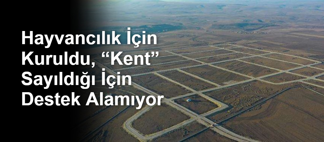 Hayvancılık İçin Kuruldu, “Kent” Sayıldığı İçin Destek Alamıyor